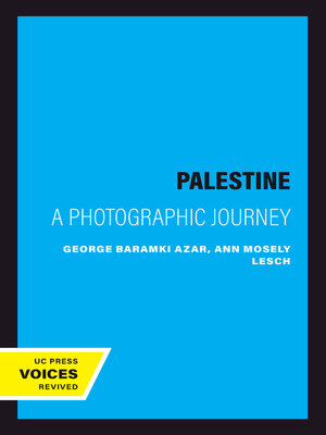 cover image of Palestine